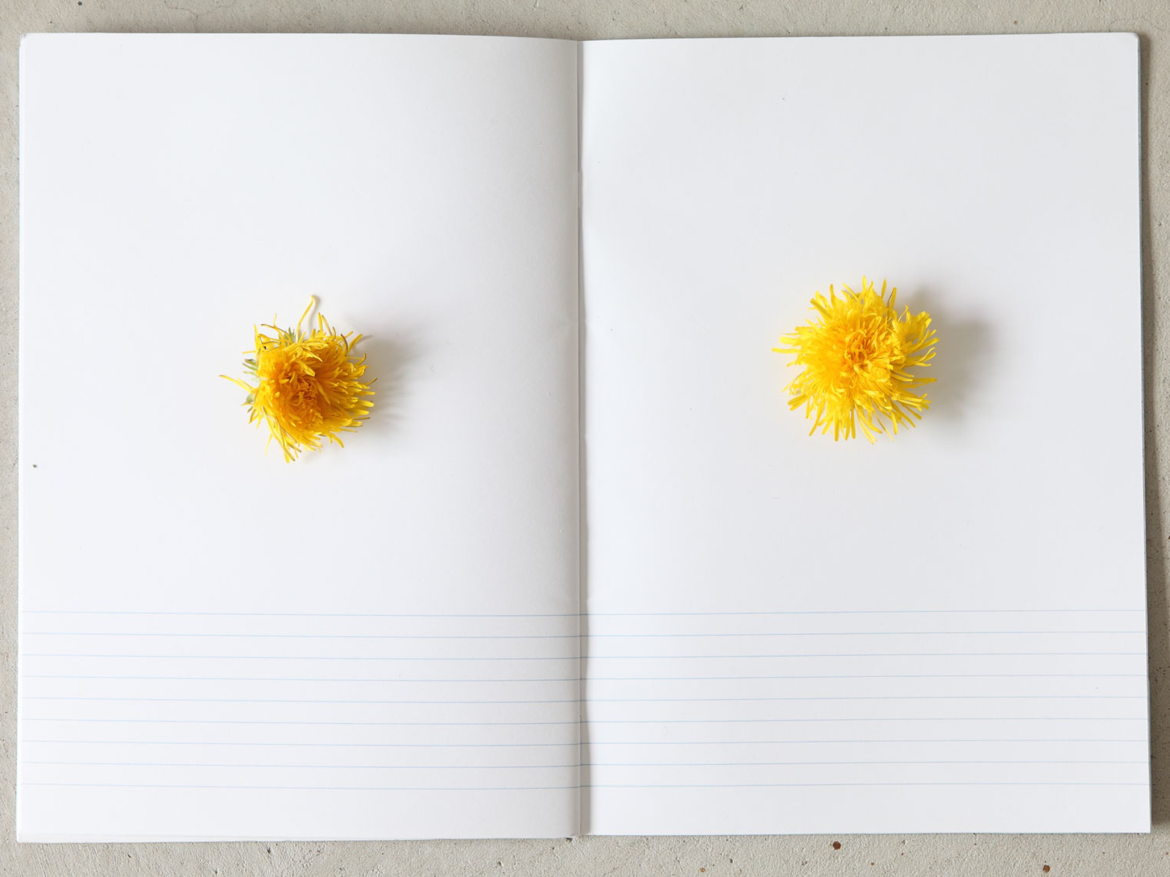 Esther Hiepler – Performance