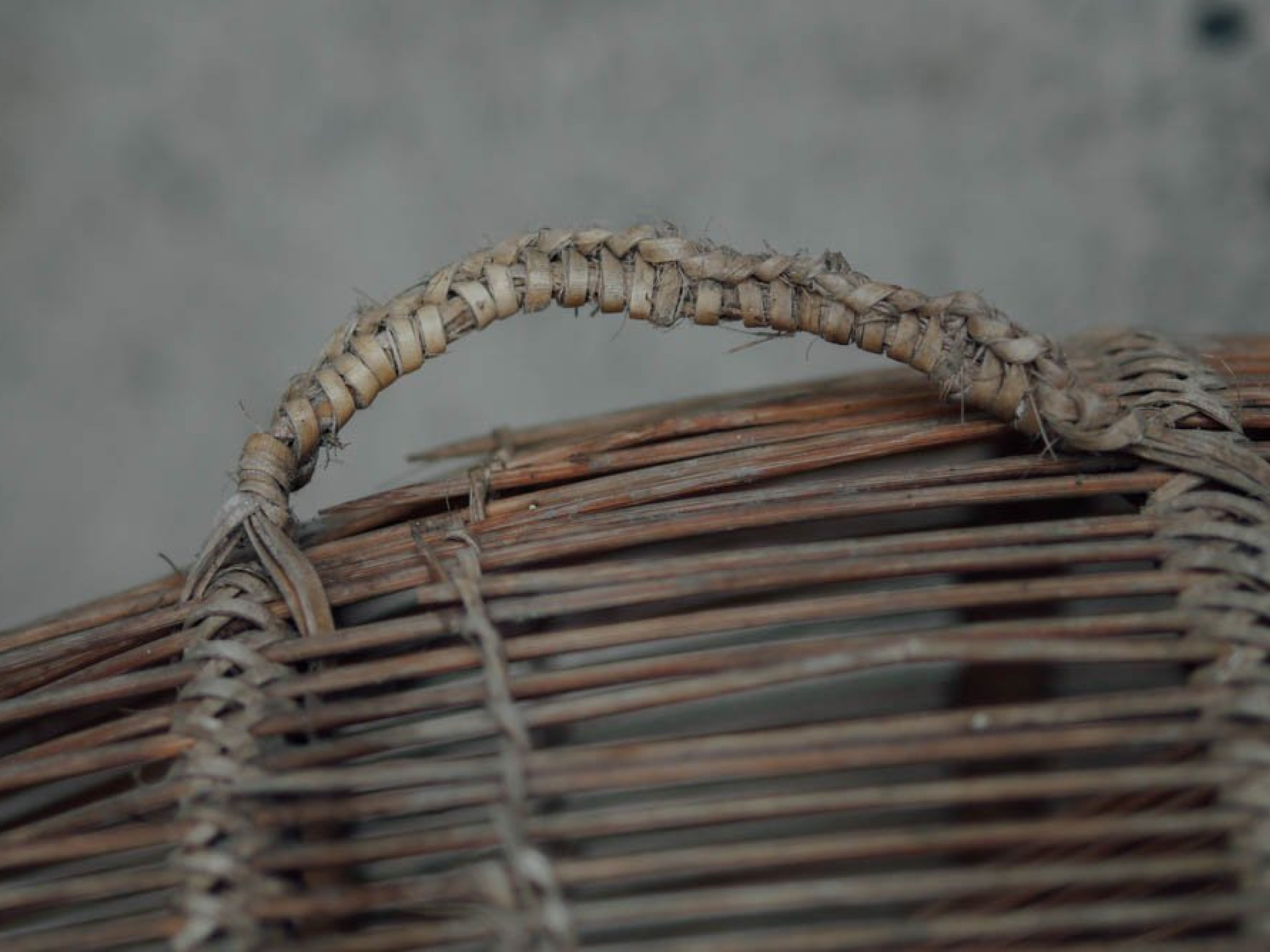 Geflecht – Thematische Ausstellung